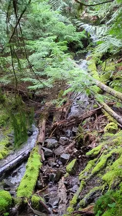 PXL_20260413_185307216.TS.mp4