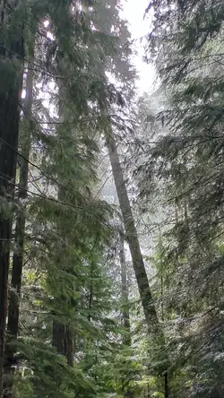 PXL_20260413_172023216.TS.mp4