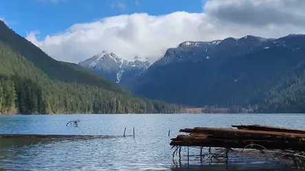 PXL_20260413_213920365.TS.mp4