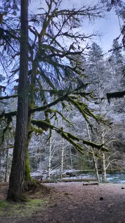 PXL_20260125_221309956.TS.mp4