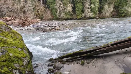 PXL_20260216_211311095.TS.mp4