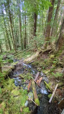 PXL_20260417_182822310.TS.mp4