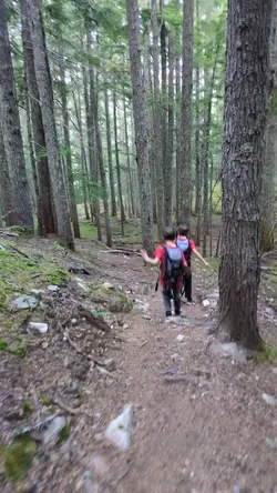 PXL_20250712_021229456.TS.mp4