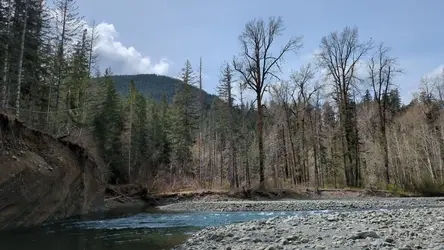 PXL_20260417_191838285.TS.mp4