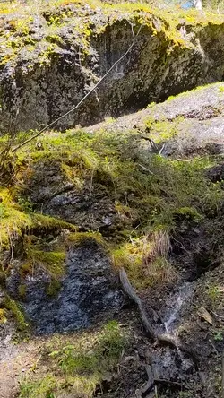 PXL_20220607_184737656.mp4