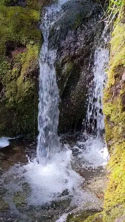 PXL_20220607_185205681.mp4