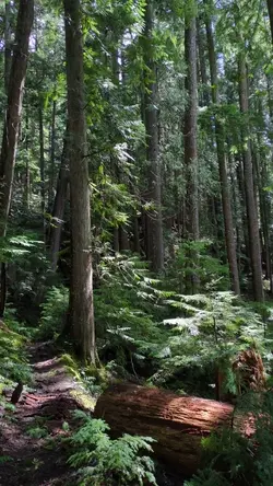 PXL_20260413_193458687.TS.mp4