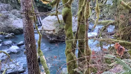 PXL_20260125_203710230.TS.mp4