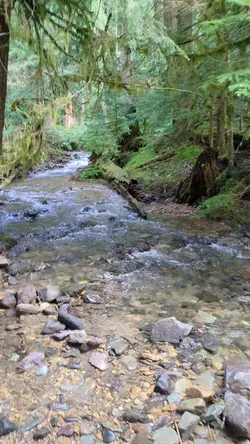 PXL_20260413_195437141.TS.mp4