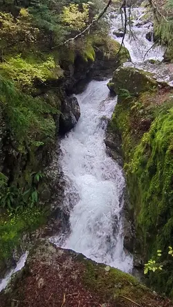 PXL_20251025_175706726.TS.mp4