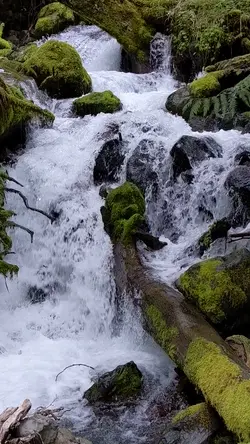 PXL_20220607_235226305.mp4