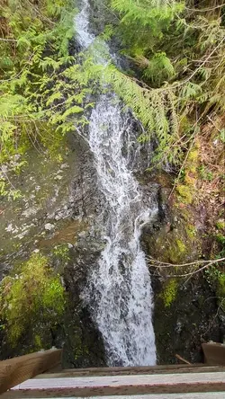 PXL_20260417_185142137.TS.mp4