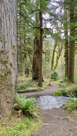 PXL_20260417_215912521.TS.mp4