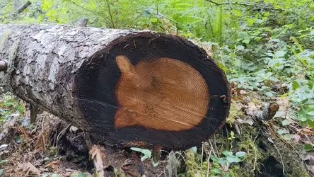 PXL_20220607_231946145.mp4