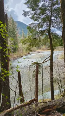 PXL_20260417_203512375.TS.mp4