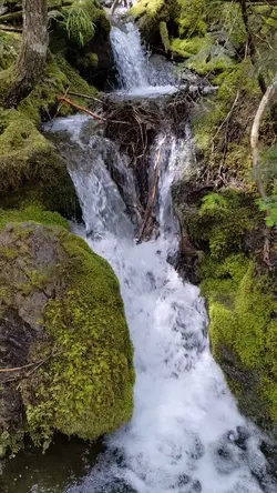 PXL_20220607_213037272.mp4