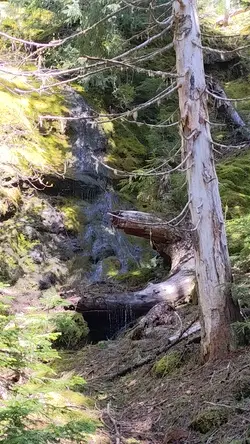 PXL_20220607_184514291.mp4