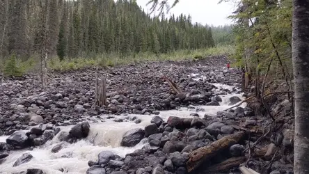 PXL_20211003_200123959.mp4