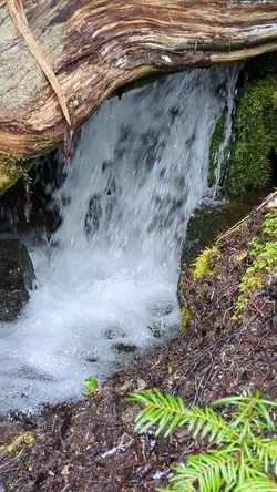 PXL_20260413_190531030.TS.mp4