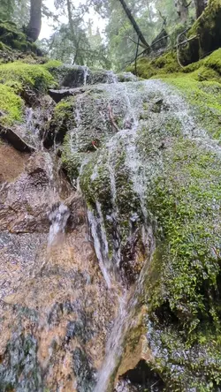 PXL_20260413_232515991.TS.mp4