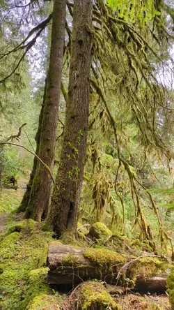 PXL_20260417_203123610.TS.mp4