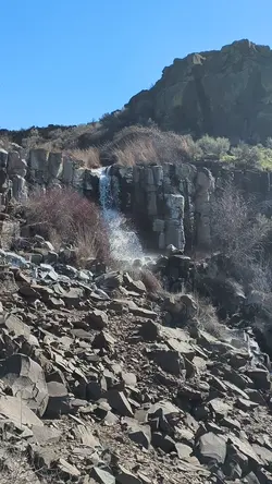 PXL_20260301_193210817.TS.mp4