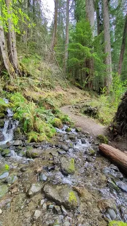 PXL_20260417_220838094.TS.mp4