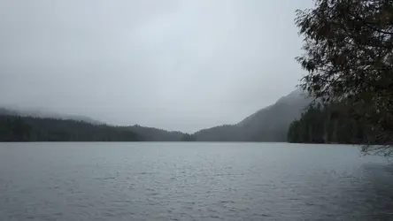 PXL_20260413_203216420.TS.mp4