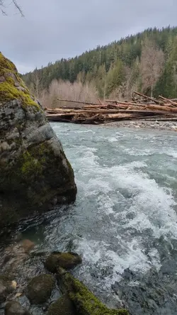 PXL_20260216_211338130.TS.mp4