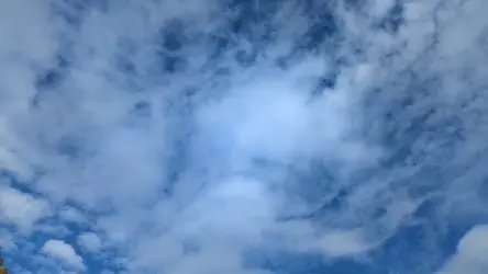 PXL_20241014_192945585.TS.mp4