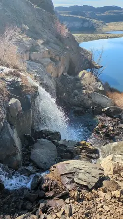 PXL_20260301_194213759.TS.mp4