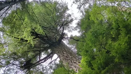 PXL_20260413_204328688.TS.mp4