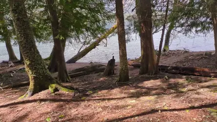 PXL_20260413_195705179.TS.mp4