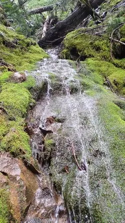 PXL_20260413_232439861.TS.mp4