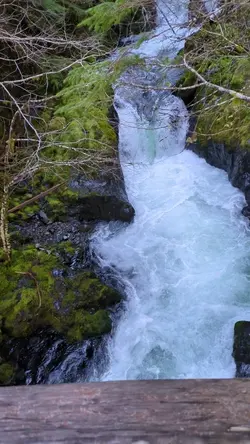 PXL_20260321_205639750.TS.mp4