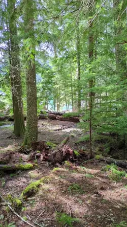 PXL_20260413_185158019.TS.mp4