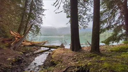 PXL_20260413_190412179.TS.mp4