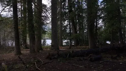 PXL_20260413_195312154.TS.mp4