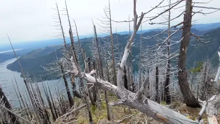 PXL_20220607_195112487.mp4