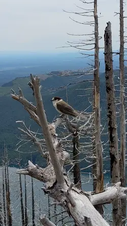 PXL_20220607_195024469.mp4