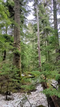 PXL_20260413_175831050.TS.mp4