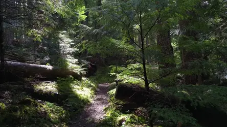 PXL_20260413_192514869.TS.mp4