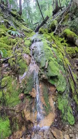 PXL_20260413_171624184.TS.mp4