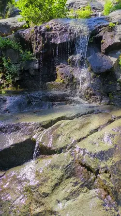 PXL_20250822_191252133.TS.mp4