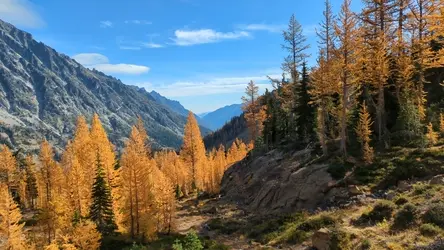 PXL_20241014_181901600.TS.mp4