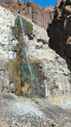 PXL_20260301_204916480.TS.mp4