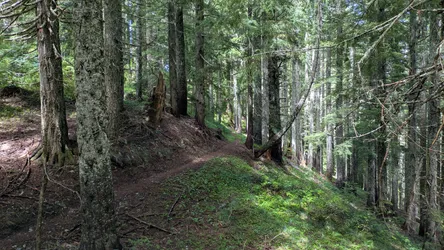 Photo 36