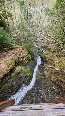 PXL_20260417_185204680.TS.mp4